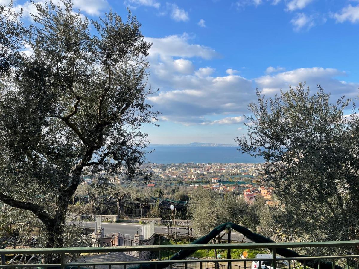 Sky View Villa Piano di Sorrento Zewnętrze zdjęcie